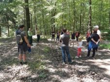 commission foret.jpg